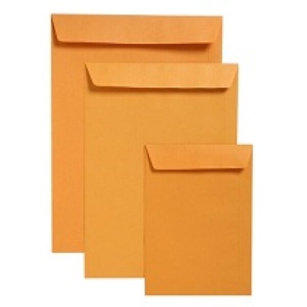 Envelopes Pocket Kraft